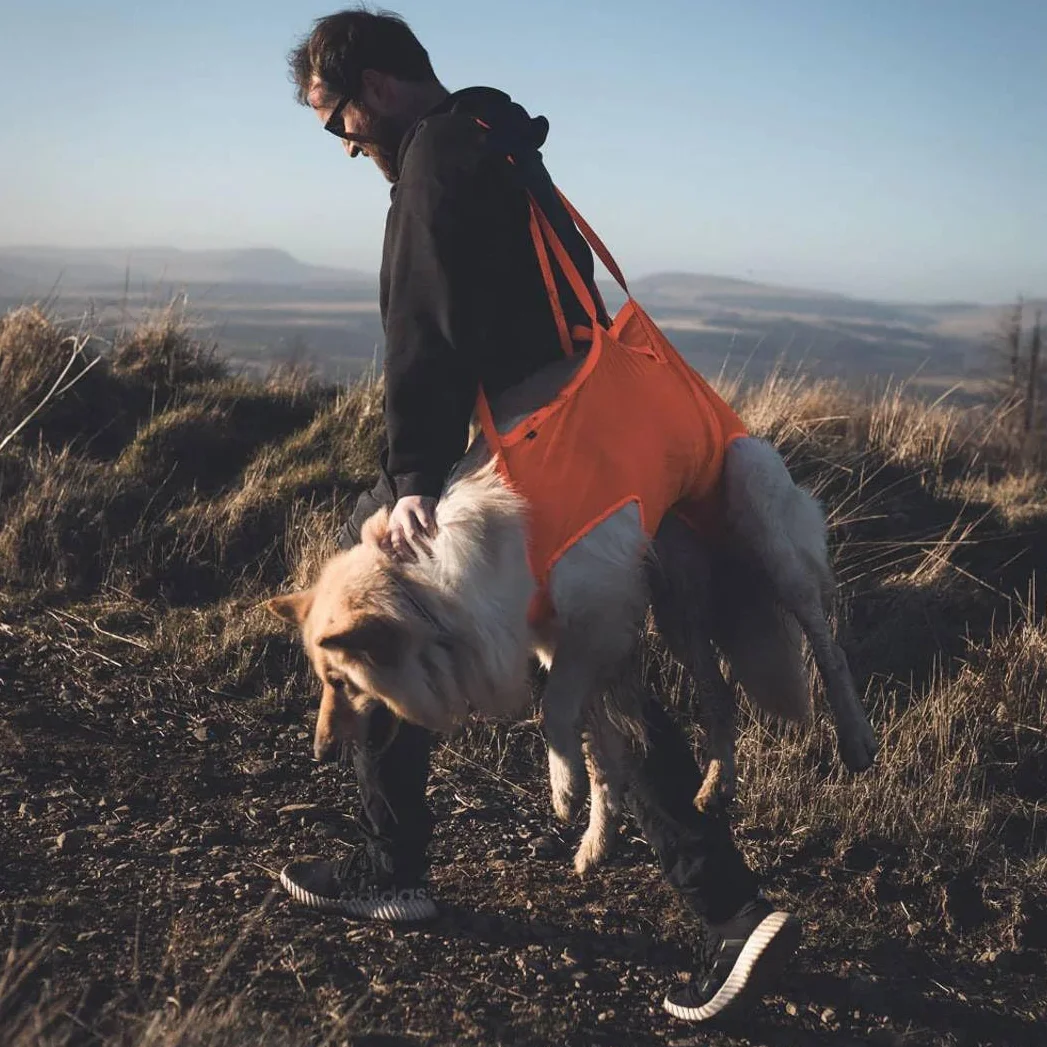 Non-Stop Dogwear Dog Rescue Sling Orange - M