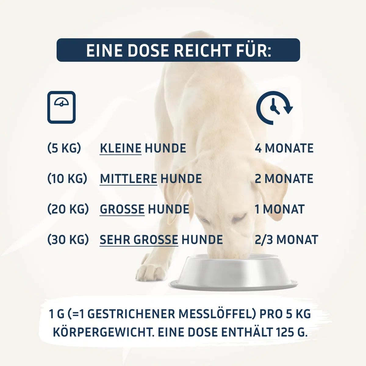 PetFokus Darm Komplex für Hunde - Unterstützung der Verdauung, entzündungshemmend, Gelenkgesundheit und Gewichtskontrolle, ergänzend zur Nass-, Trocken- oder Rohfütterung - in Deutschland produziert