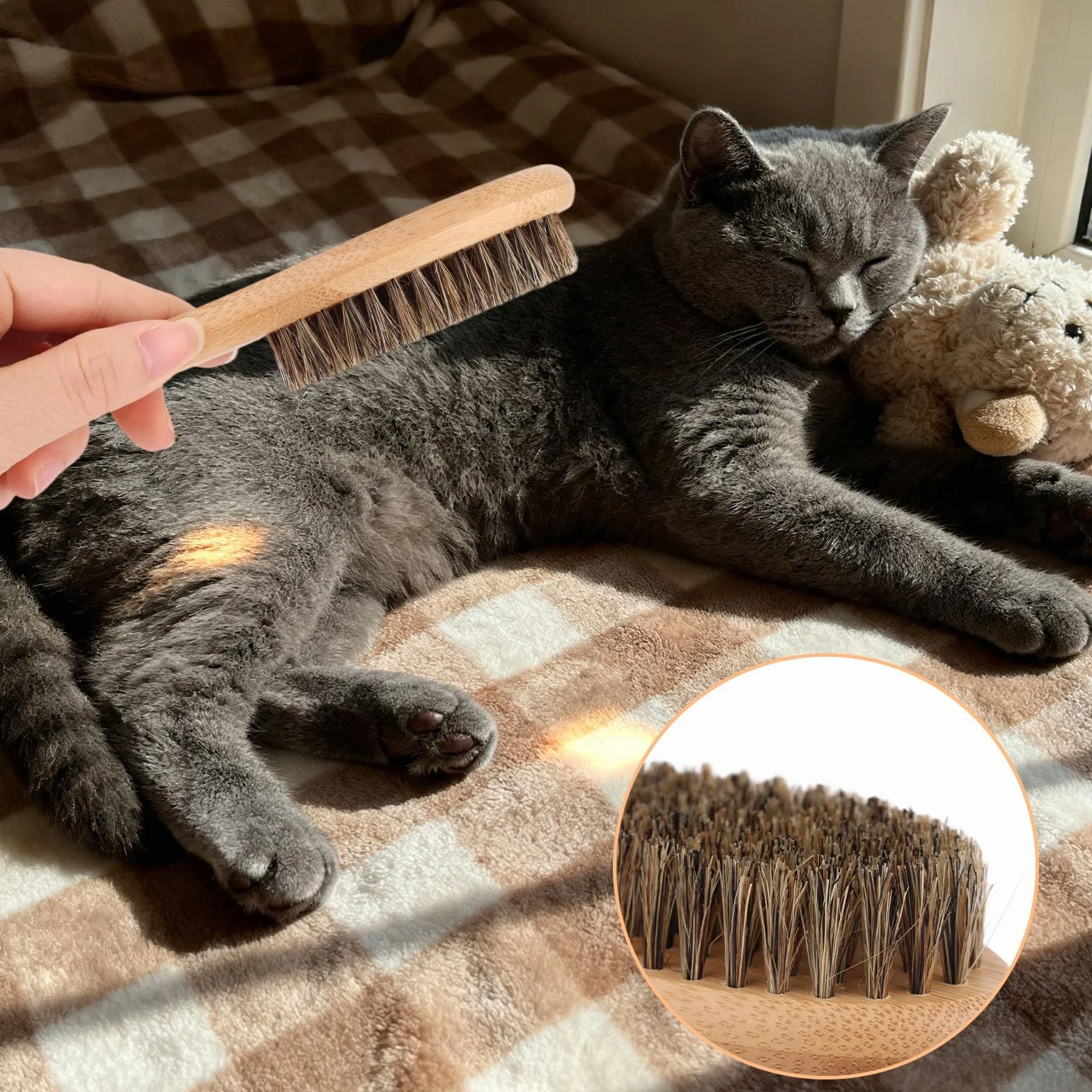 Hunde- und Katzenbürste mit Weichen Borsten zum Haaren, Fellpflegebürste mit Wildschweinborsten Holzgriff Sanftes Massagewerkzeug für Kurz- Langhaarige Hunde Katzen Kätzchen Fellpflegezubehör