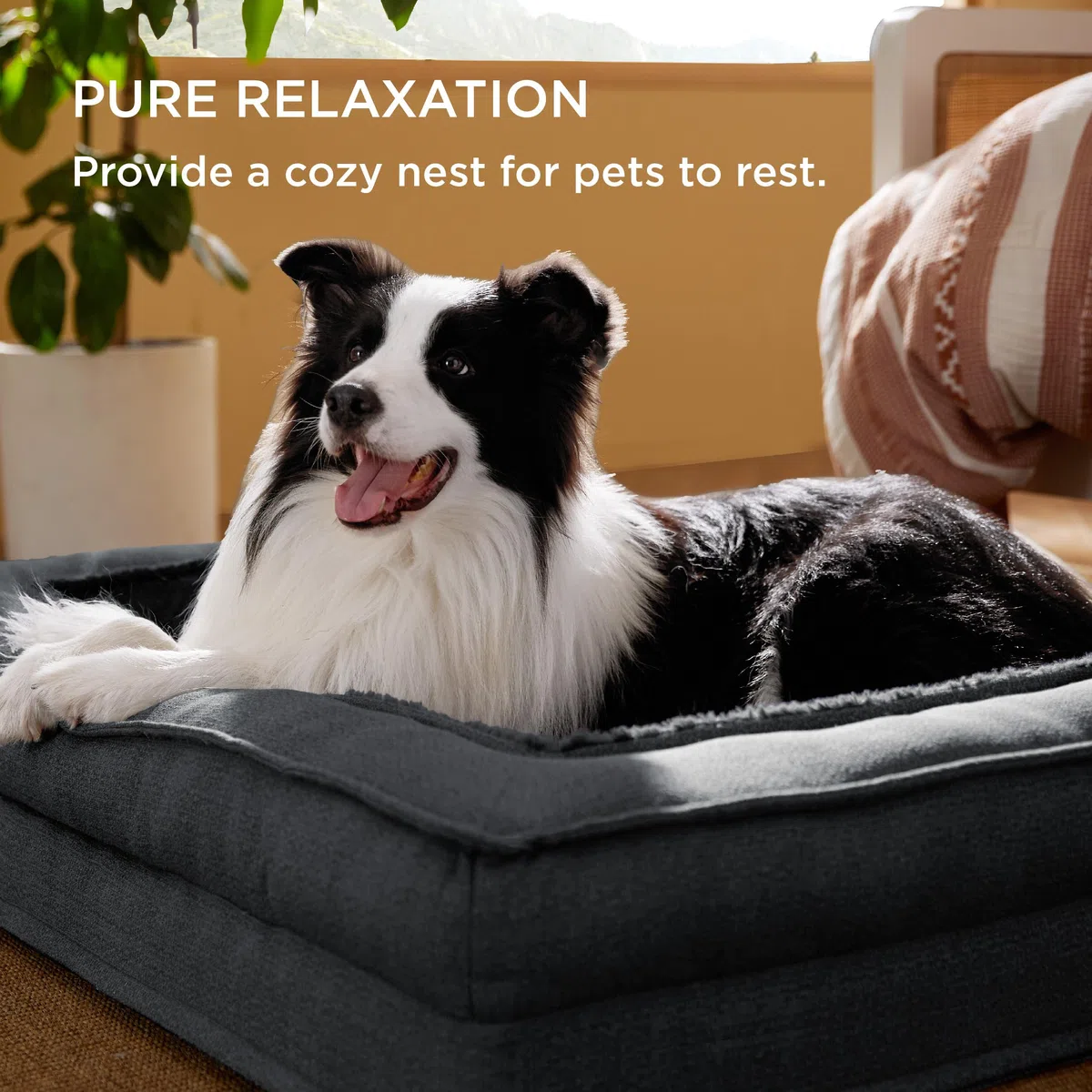 BEDSURE orthopädisches Hundebett große Hunde - Hundesofa mit eierförmiger Kistenschaum, kuschelig Schlafplatz in Größe 122x89x20 cm, waschbare Hundesofa, grau