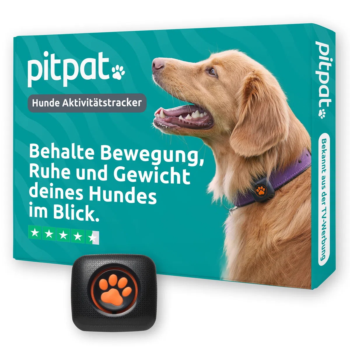 PitPat Aktivitäts & Fitness Tracker für Hunde (ohne GPS) – kein Aufladen oder Abo erforderlich – Geeignet für alle Hunde und Halsbänder – Intelligenter Haustier Aktivitätstracker – 100 % wasserdicht