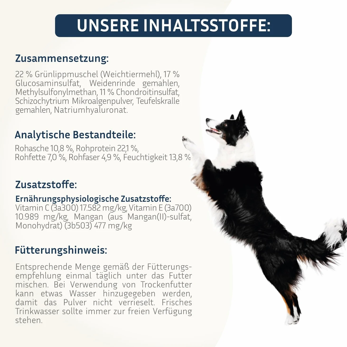 PetFokus Agility Complete | für gelenkempfindliche Hunde - natürliche Nahrungsergänzung - 11 wertvolle Inhaltsstoffe inkl. Grünlippmuschel, MSM, Teufelskralle - Pulver - in Deutschland produziert