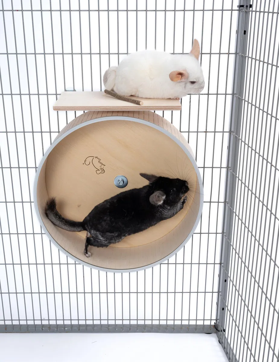 Lautloses Premium-Chinchilla-Laufrad, 41cm, Stabiler Ständer, Antibeißrand, hergestellt in Lettland