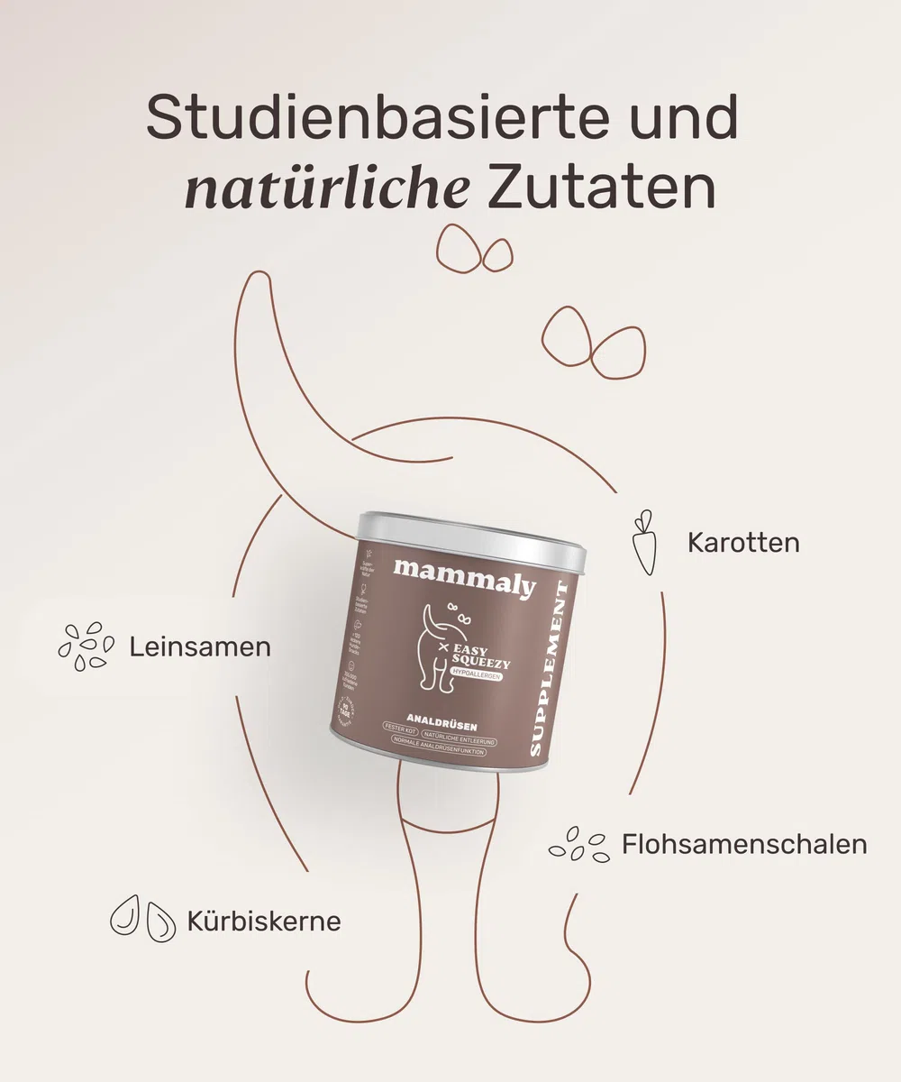 9 in 1 Analdrüsen Leckerli für Hunde mit Ballaststoffen - Easy Squeezy 120 Snacks (350g) von mammaly - gegen verstopfte Analdrüse - für festen KOT und natürliche Analdrüsenentleerung für deinen Hund