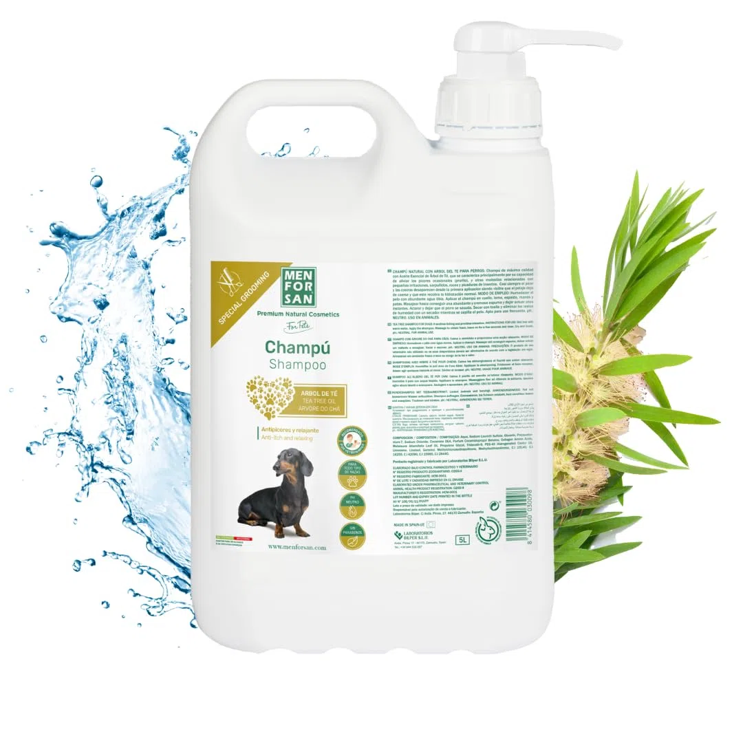 Shampooing Men for San Chien Arbre à thé Caramel (5 L)