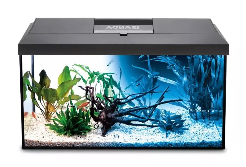 Aquael Leddy Aquarium-Set mit Abdeckung, Filter, Heizung, LED, Tag und Nacht, 60 x 30 x 30 cm, Schwarz