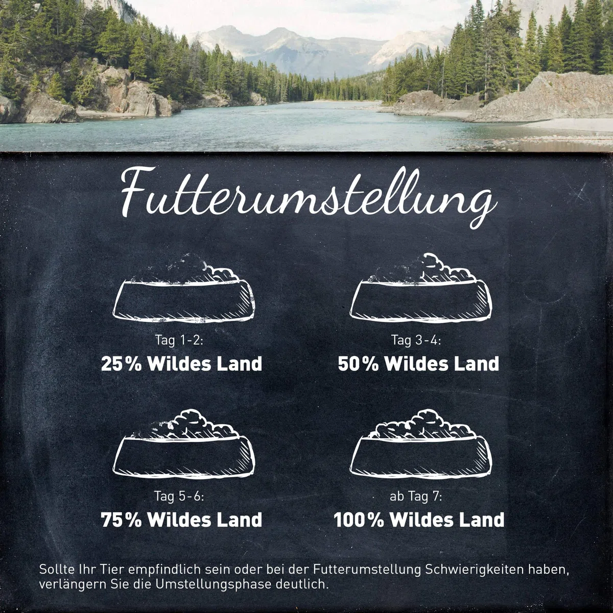 Wildes Land Halbfeuchtes Trockenfutter für Hunde Nr. 1 Lamm 5 kg | Mit Reis und Wildkräutern, Glutenfrei, Extra viel Fleisch, Für alle Hunderassen
