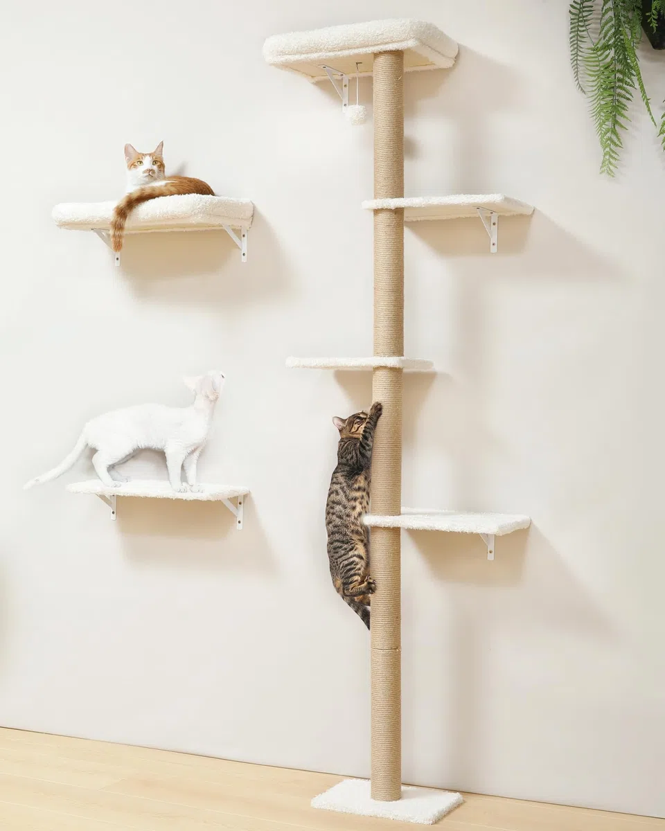 FUKUMARU Kletterwand Katzen-Set, 178 cm hoch, stabiles 3-in-1 Kratzbaum-Set aus mehrschichtigem Massivholz, Holzkatzenmöbel mit Kratzbaum-Wand und 2 Wandregalen, platzsparende Kletterwand, Beige