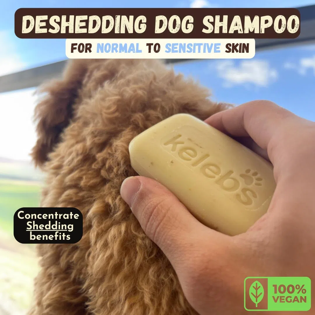 KELEBS Hundeshampoo Sensitiv | Fellpflege Hund | hundeshampoo welpen | Beruhigende natürliche Hunde Shampoo Seifenstücke | mit Lavendel Öl & Haferflocken | Vegan | 3er Pack (Coconut)