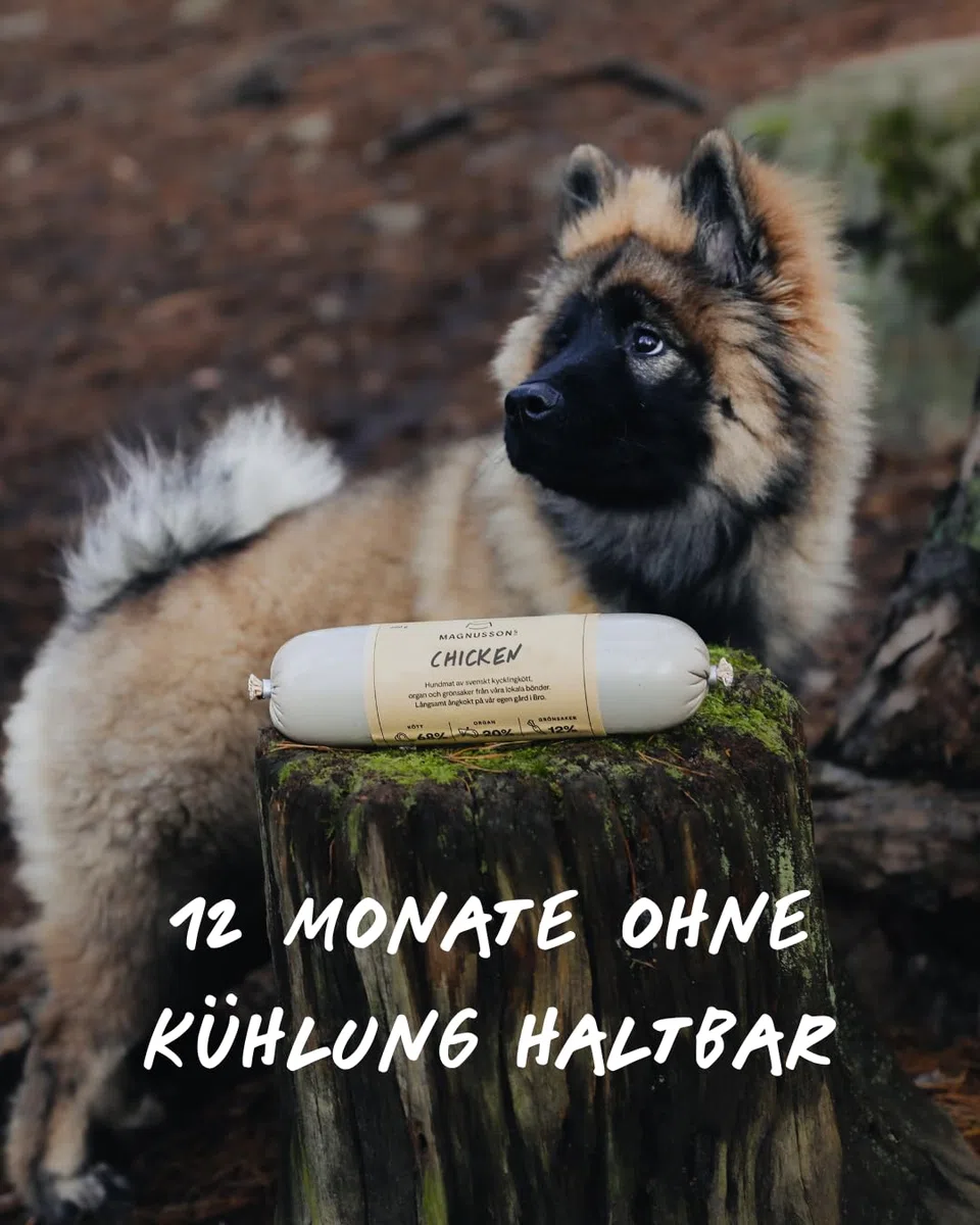 Magnussons Chicken Hundefutter Nassfutter | 12 x 650 g | Monoprotein Huhn | Welpen, Junghunde & Erwachsene Hunde | Alleinfuttermittel dampfgegart | Alle Rassen