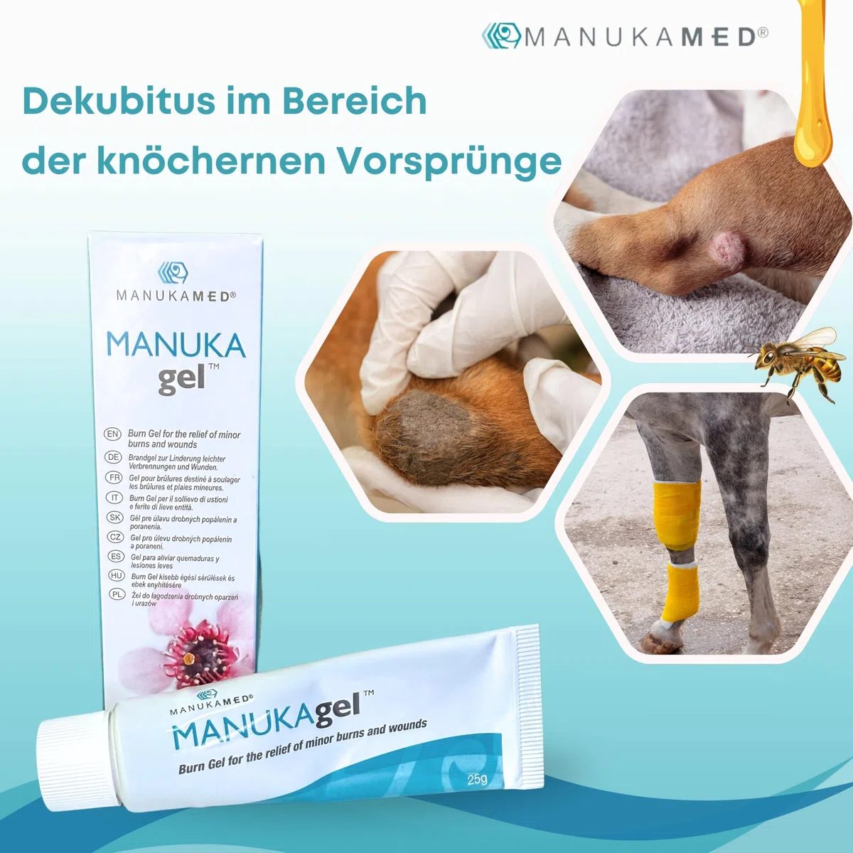 ManukaMed Antibakterieller Manuka Gel, wundsalbe für Hund, Katze, Pferd, 100% Bioaktiv Manuka Honig MGO 560+ / 25 g