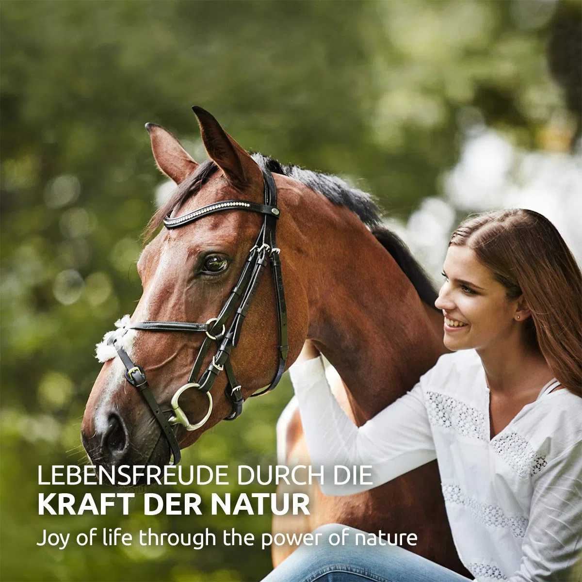 AniForte WermiX Pulver für Pferde & Ponys 250g – Natürliche Kräuter, seit 10 Jahren bewährte Alternative, Unterstützung durch Saponine, Bitterstoffe, Thymian, Wermut & Salbei