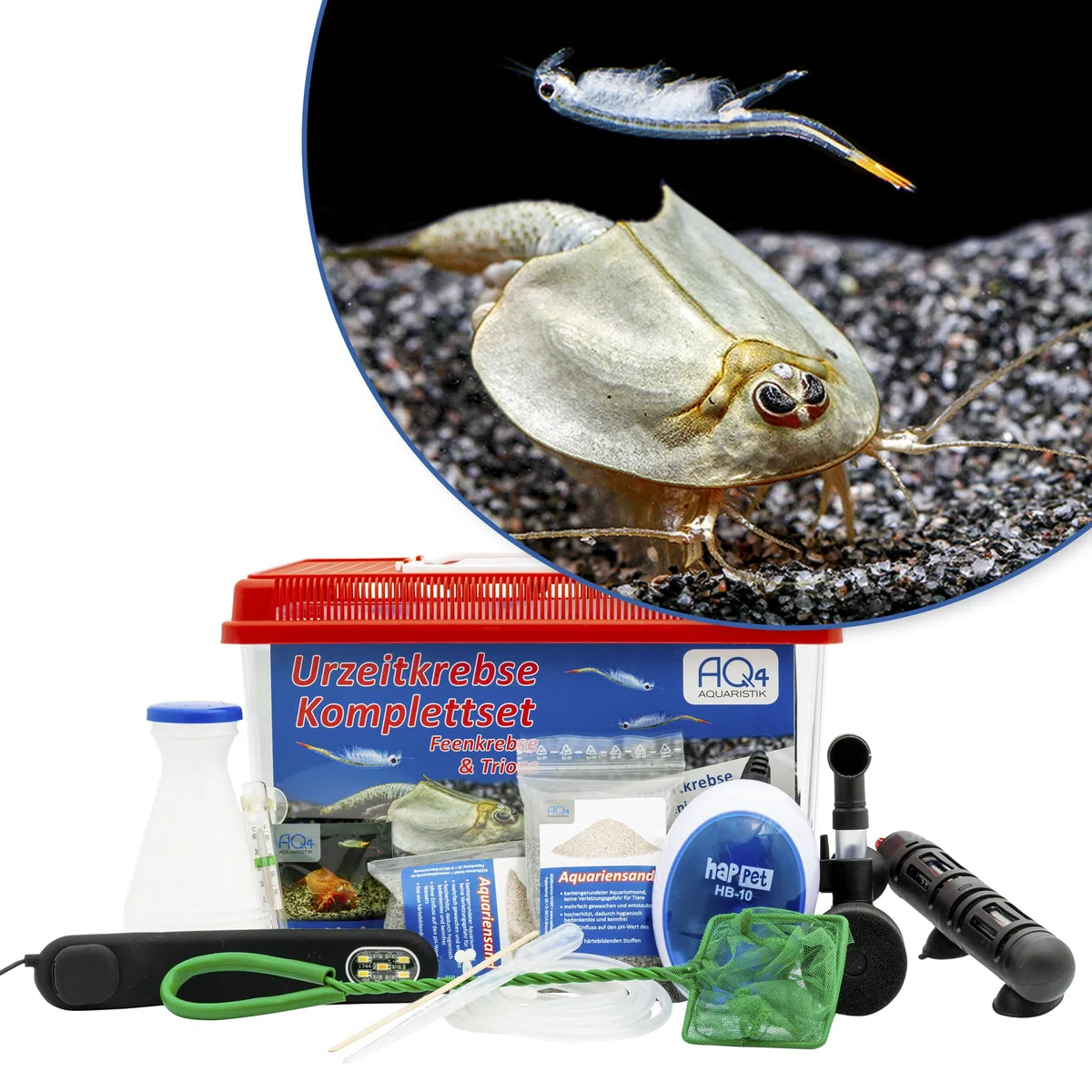 Triops und Feenkrebse Premium Komplettset 6 l, Eier, Filter, LED | Urzeitkrebse-Mix mit Aquarium, Filter, Heizung, Eiern, Futter, Zubehör und Anleitung; Ideal für Einsteiger in die Triopszucht