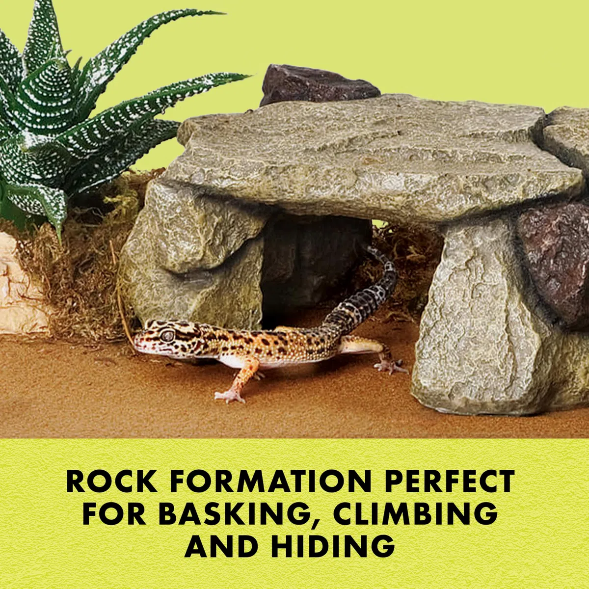 ZILLA Shale Rock Den Einheitsgröße