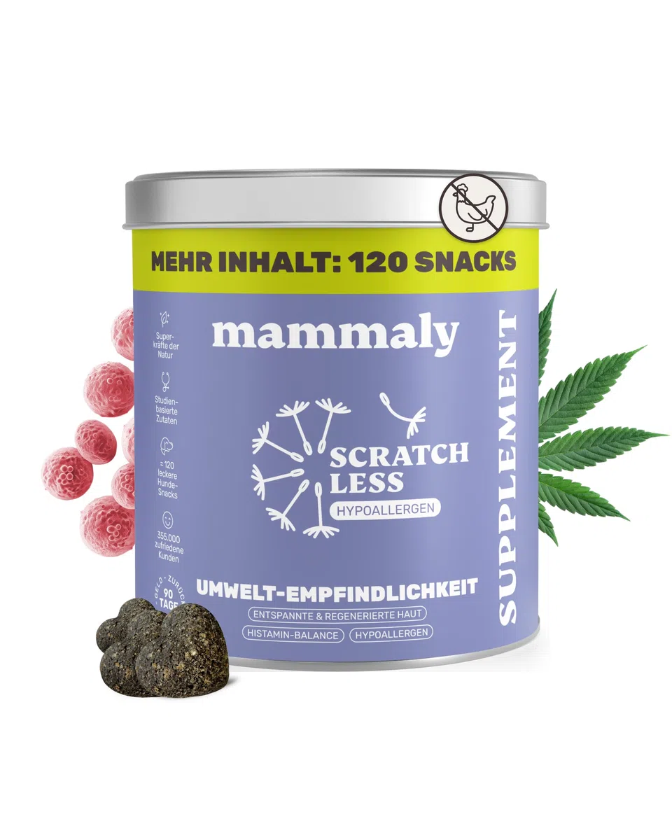 7-in-1 Hanföl-Leckerli für Hunde - Scratch Less 120 Snacks (350g) von mammaly - mit Zink, Bierhefe, PEA - kann Deinem Hund bei saisonalen & ganzjährigen Allergien und Juckreiz unterst.
