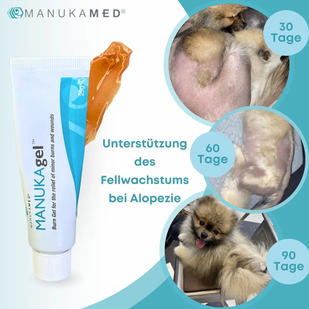 ManukaMed Antibakterieller Manuka Gel, wundsalbe für Hund, Katze, Pferd, 100% Bioaktiv Manuka Honig MGO 560+ / 25 g