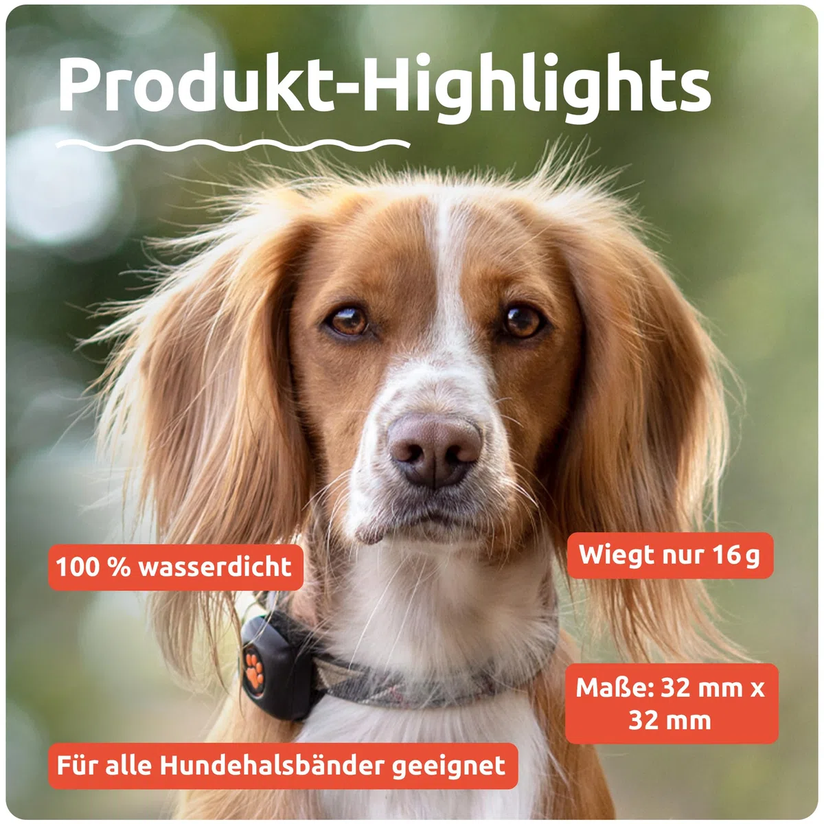 PitPat Aktivitäts & Fitness Tracker für Hunde (ohne GPS) – kein Aufladen oder Abo erforderlich – Geeignet für alle Hunde und Halsbänder – Intelligenter Haustier Aktivitätstracker – 100 % wasserdicht