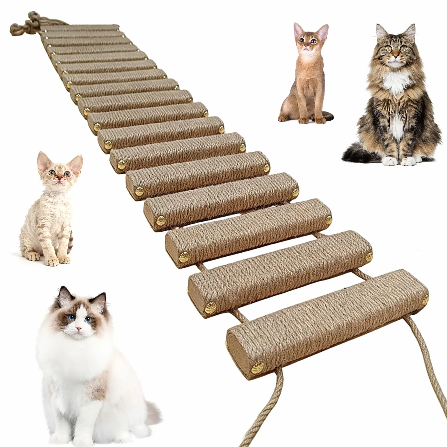 Katzenleiter 150 cm, Katzenleiterbrücke aus Holz & Sisalseil, Klettergerüst für Katzen, Aktivitätskratzbaum, Hängematte, Katzentreppe für Wand, Haustiermöbel, Khaki