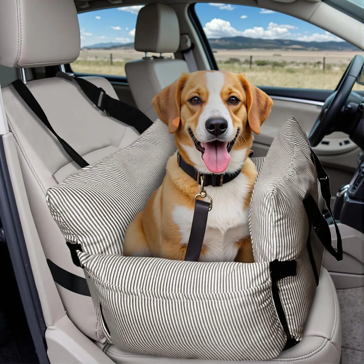 Hundesitz Auto für Kleine/Mittlere Hunde unter 18 kg, Tragbares Autositz Hund mit Sicherheitsgurt und Aufbewahrungstaschen, Waschbarer Hund Booster Autositz, Anti-Rutsch-Boden (Braun, 76 x 52 cm)