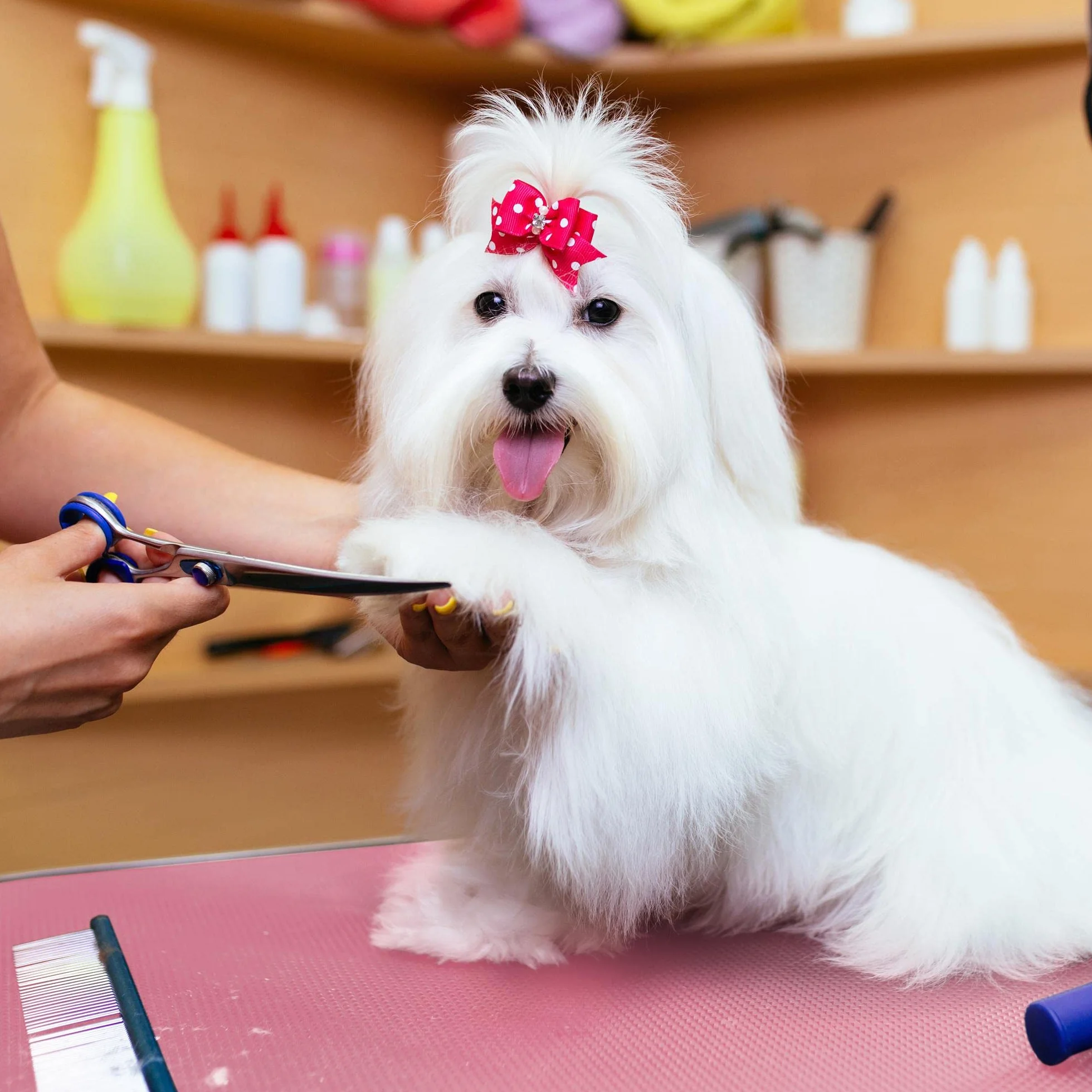 Yaheetech Hundepflegetisch, Trimmtisch für Hunde, Hundefriseur Tisch, Hunde Badetisch, Pudel Fellpflege, Hund Schertisch, höhenverstellbar, rutschfest, bis 100 KG belastbar Rosa Rosa