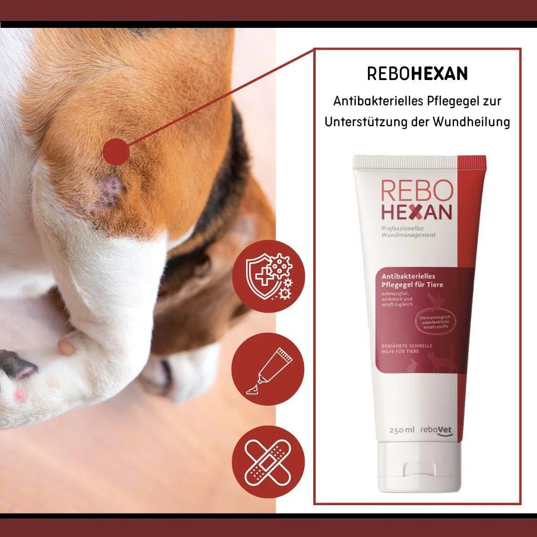 ReboHexan Gel 250 ml: Wundgel, Unterstützung der Wundheilung, Vermeidet Ankleben an Verbänden, Schmerzlose Anwendung, Alkoholfrei