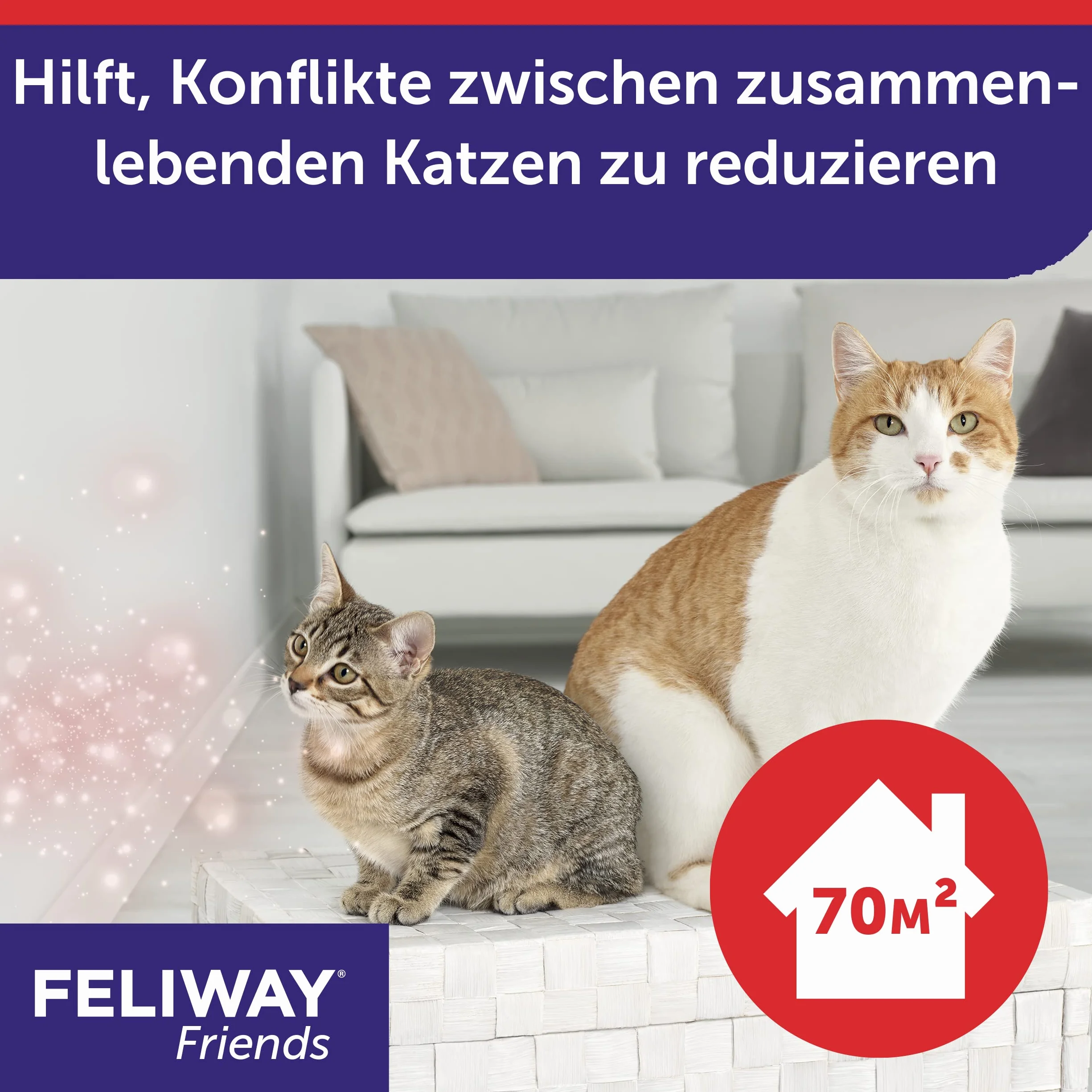 FELIWAY Friends Nachfüllflakon für Katzen | reduziert Konflikte & Spannungen wie Jagen, Kämpfen & Anstarren | reduziert Konfliktverhalten für glückliche Katzen | 3 x 48 ml (neu)