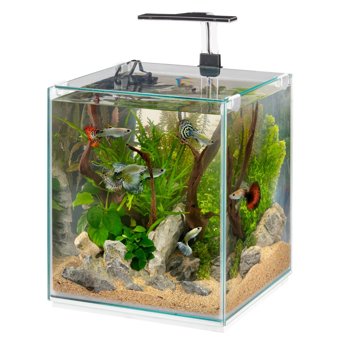 Hydor 30-Liter-Aquarium mit dimmbarer LED-Lampe, 3 Modi (Tag, Nacht und Gemischt), leisem Innenfilter und Heizung, Glasaquarium 30 x 30 x 50 cm.aus Glas