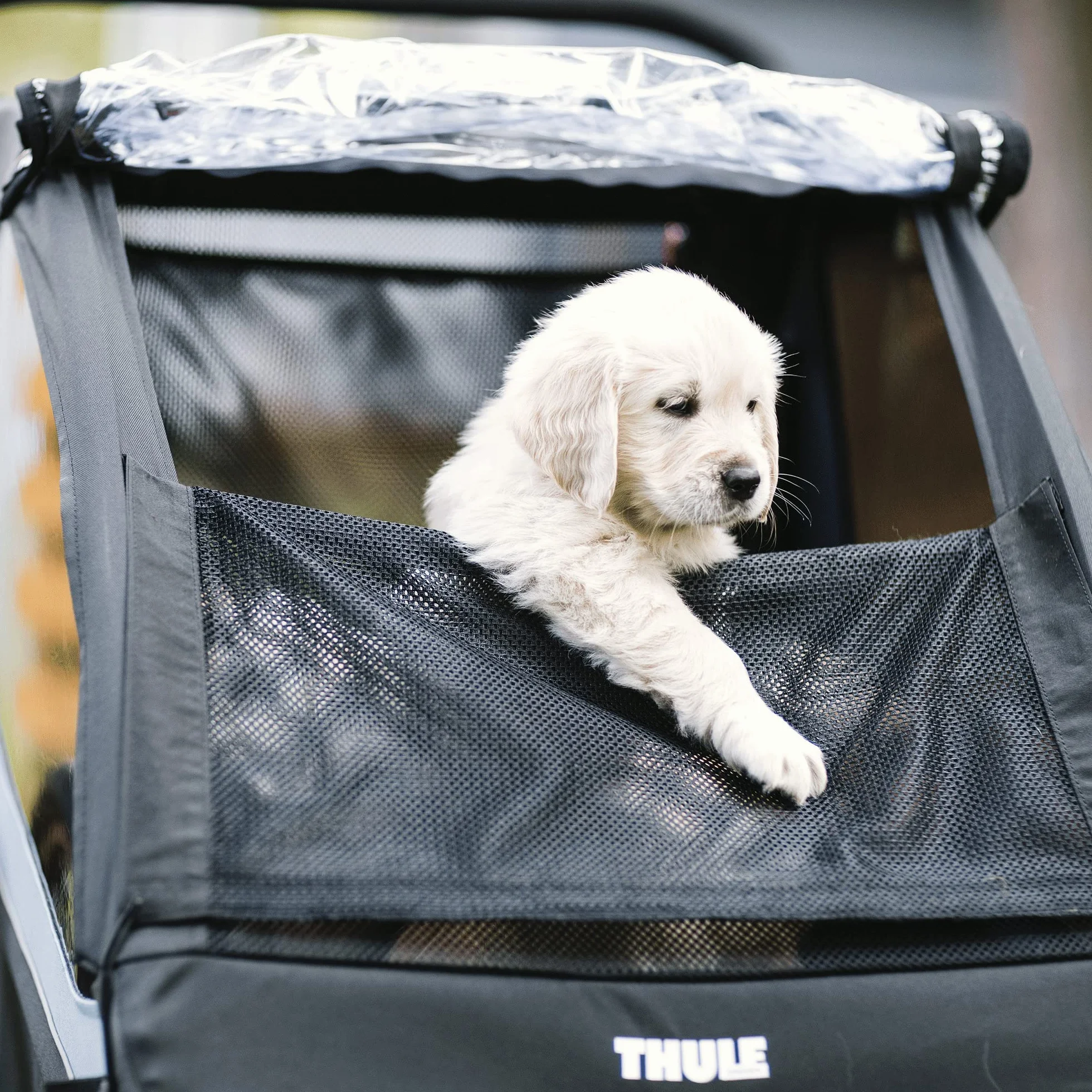 Thule Courier Dog Trailer Kit Hundeanhänger-kit Black, One-Size