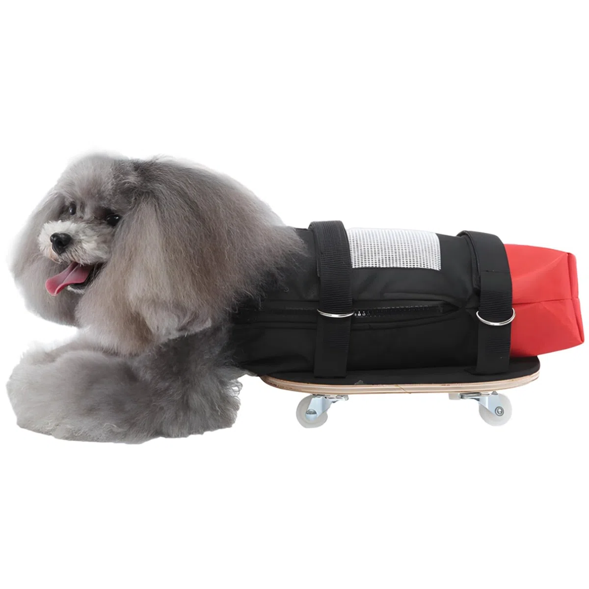 Rollstuhl für Hunde und Katzen, verstellbarer Haustier-Rollstuhl mit leisen Rädern, atmungsaktives Polyester, erhältlich in S/M/L, für behinderte Haustiere