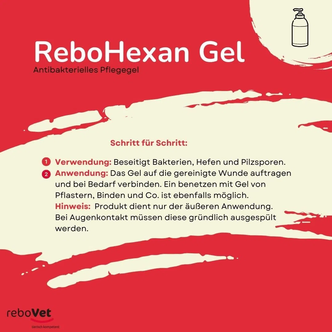 ReboHexan Gel 250 ml: Wundgel, Unterstützung der Wundheilung, Vermeidet Ankleben an Verbänden, Schmerzlose Anwendung, Alkoholfrei