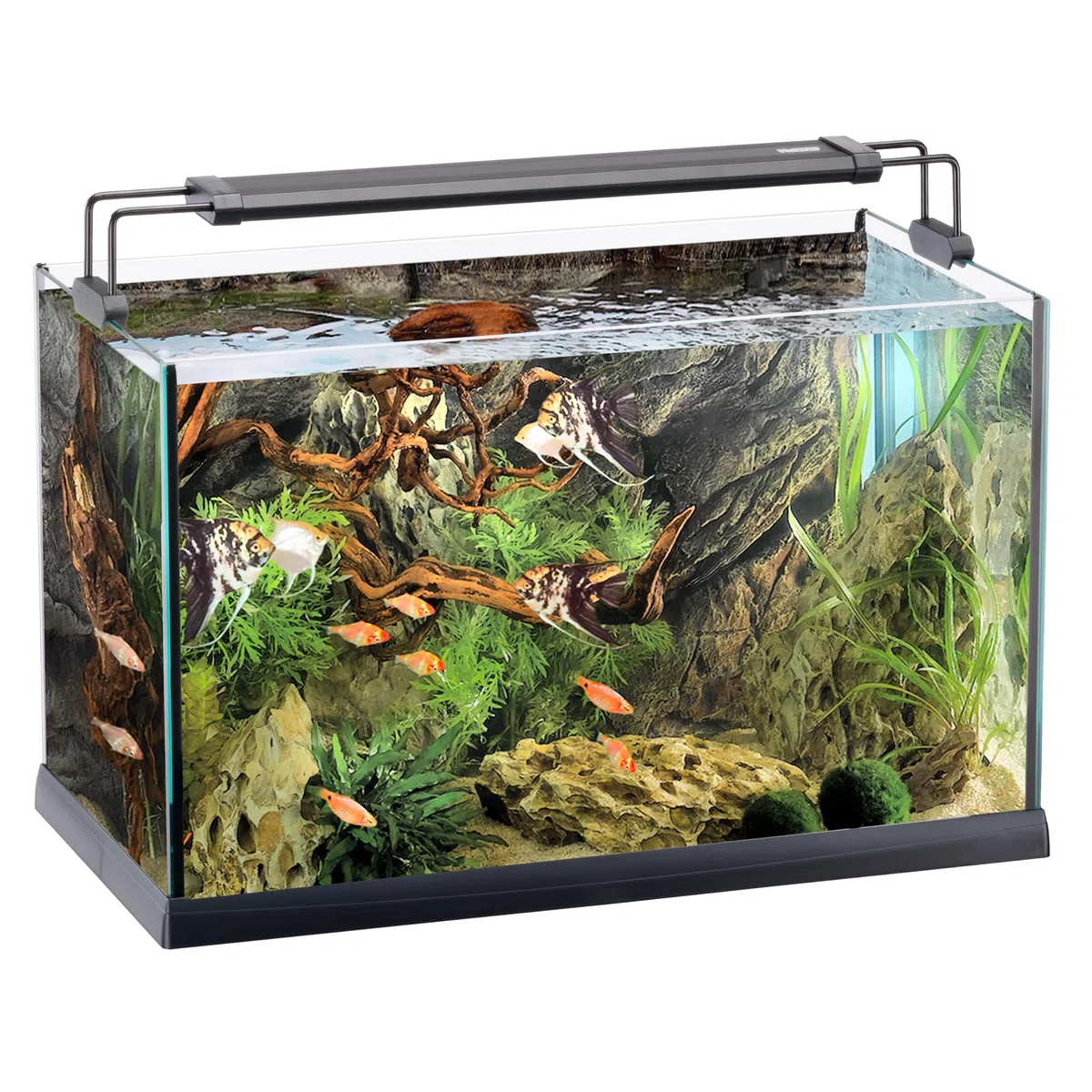Hydor 60L Aquarium, LED-Beleuchtung, Außenfilter, 100W-Heizung, Glasaquarium für Tropische Fische, offenes Becken für Pflanzen- und Aquascaping, 59,5 x 31,5 x 42 cm