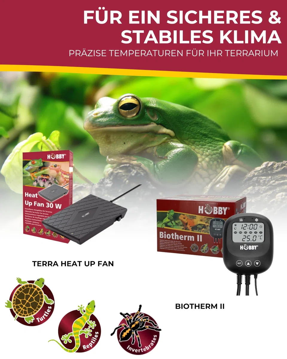 Hobby Heat Up Fan 30 W I Terrarium Heizlüfter I Gleichmäßige Wärme & Luftzirkulation für Reptilien I Energieeffiziente Terrarien Heizung mit Ventilator I Sicheres Wärmesystem für gesunde Tiere
