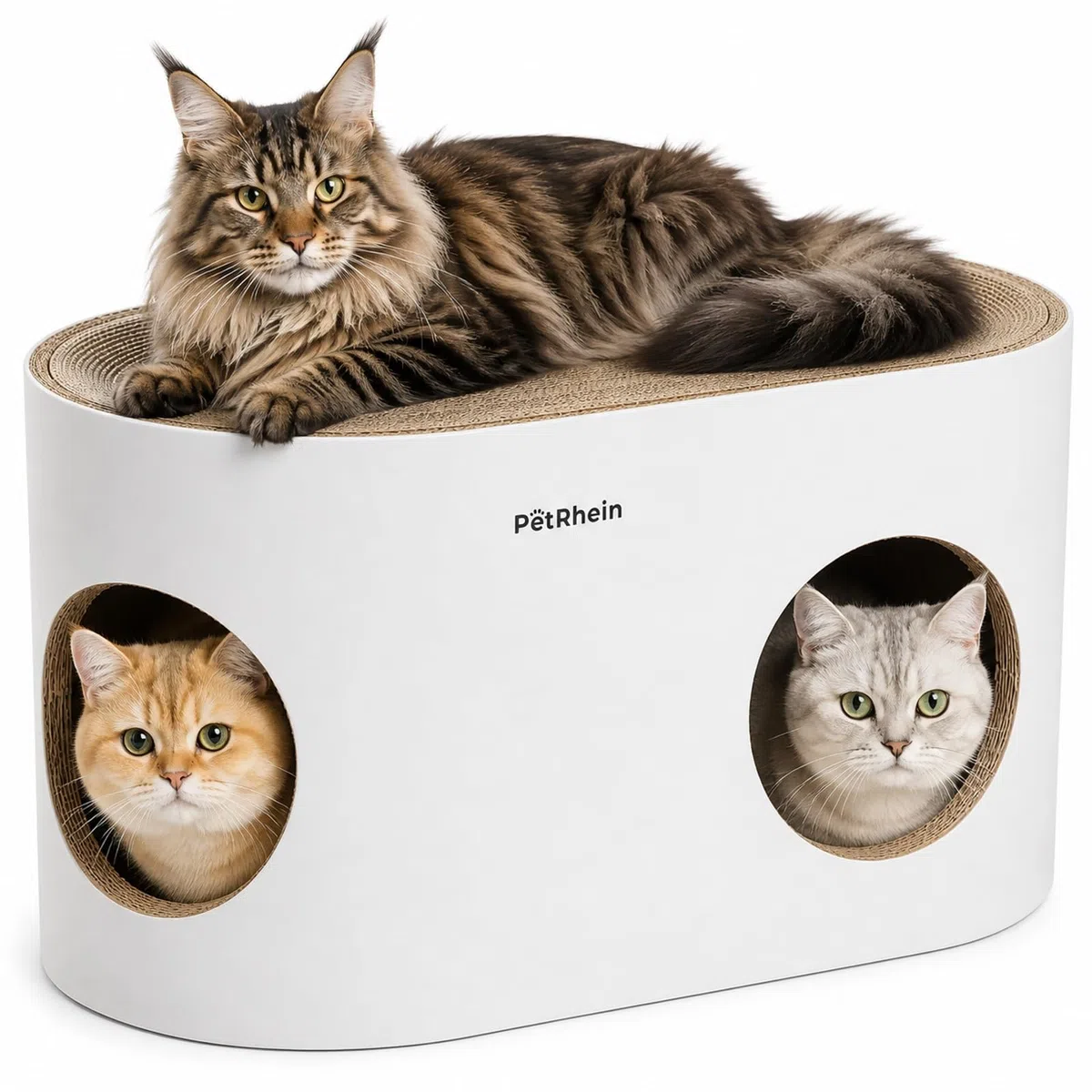 Kratzbrett für Katzen aus Kratzpappe,3-in-1 großes Katzenhöhle mit Kratzmatte & Katzenbett – 64 x 35 x 36 cm– Stabiles Kratzpappe, Minimalistisches Kratzmöbel für Katzen