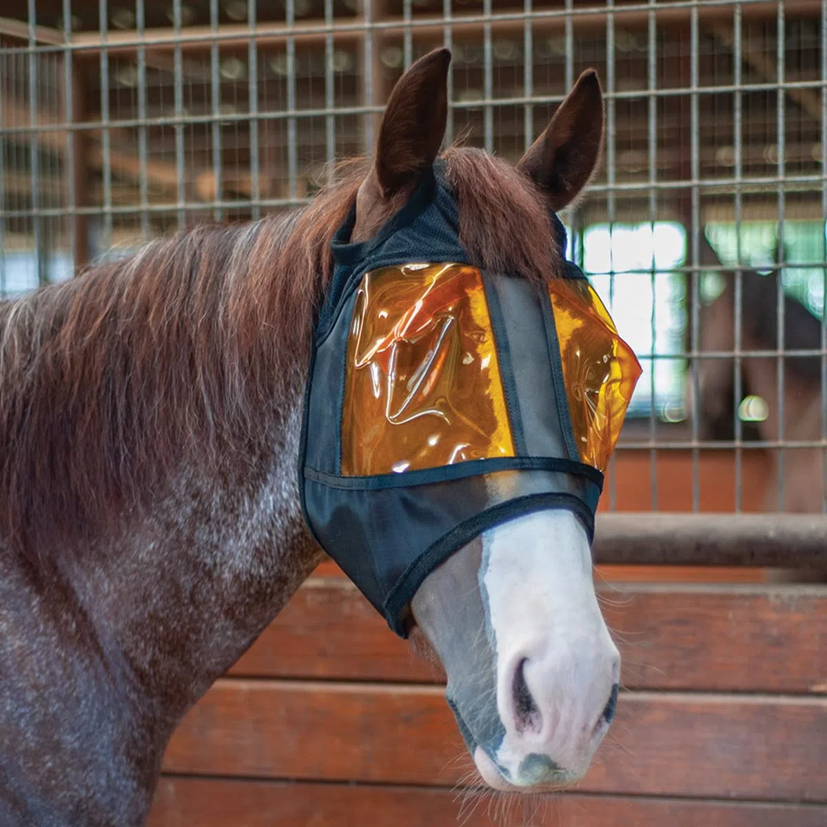 Restoration Equine Mask N/A Medium
