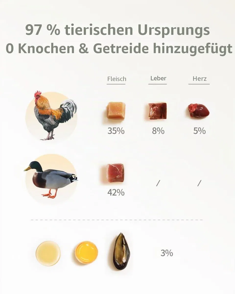 gefriergetrocknetes Katzenfutter, 97% tierischen Ursprungs, weiches trockenes rohes Katzenfutter, Katzenleckerli und Toppings (400g, Geflügel)