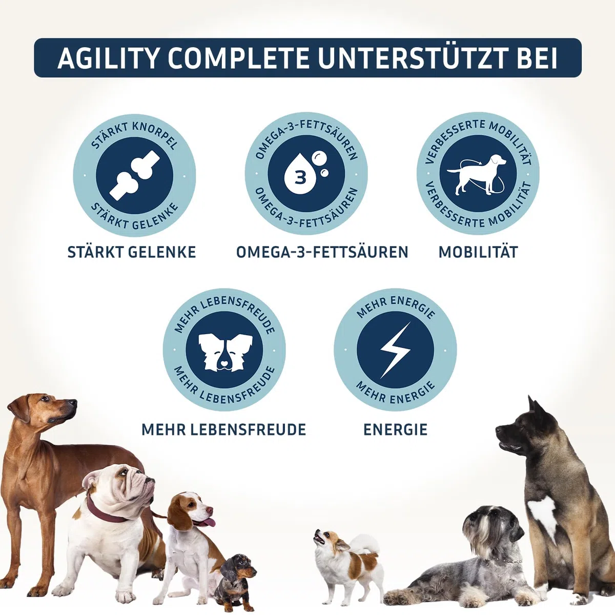 PetFokus Agility Complete | für gelenkempfindliche Hunde - natürliche Nahrungsergänzung - 11 wertvolle Inhaltsstoffe inkl. Grünlippmuschel, MSM, Teufelskralle - Pulver - in Deutschland produziert