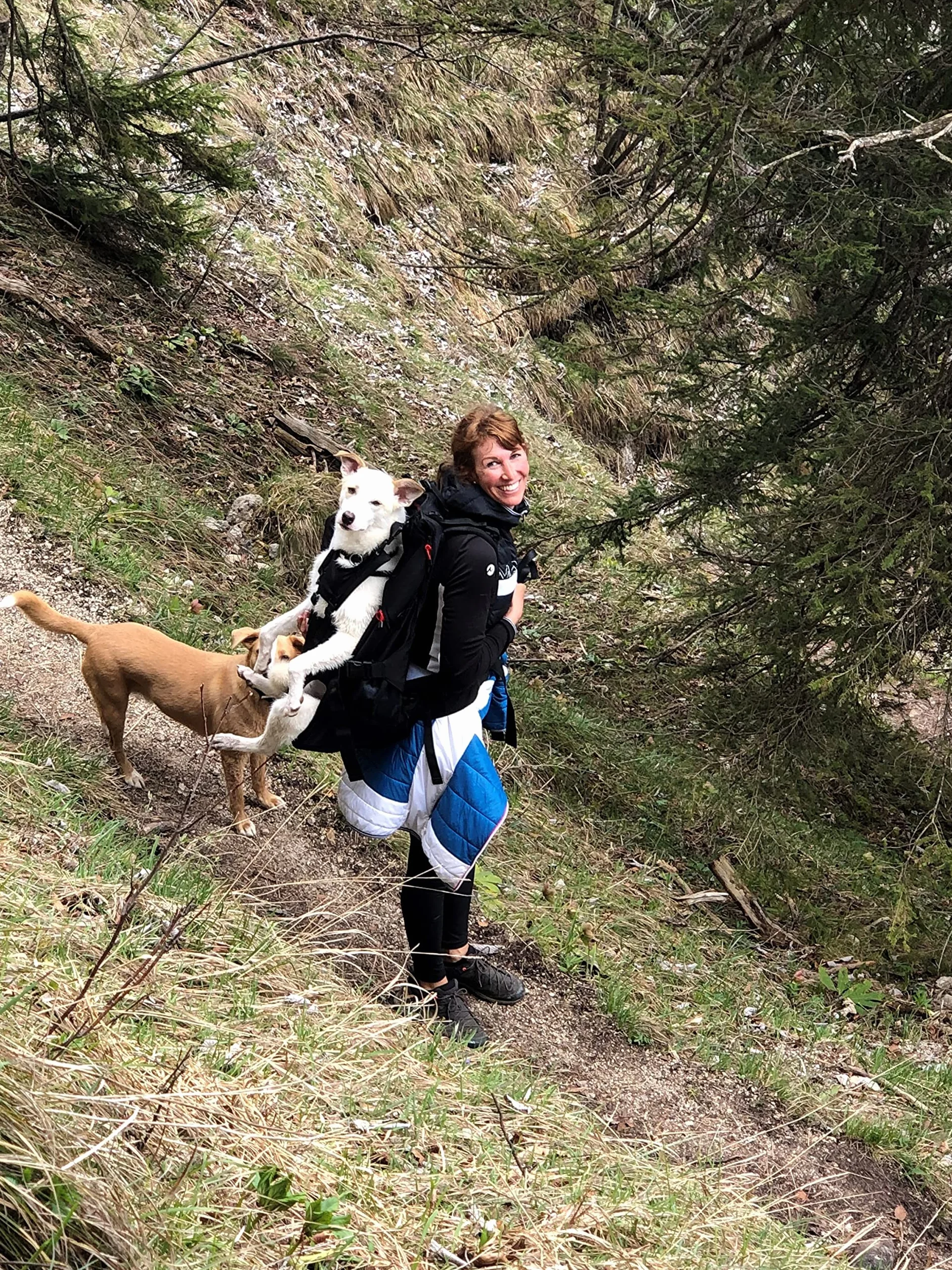 Patentierter Premium XXL Leg Free Hunderucksack - Hundetrage Hundetasche Rucksack für Große, Massive Kompakte und Schlanke Hunde von 16-30 kg Gewicht und Einer Rückenlänge von max. 67 cm - Schwarz