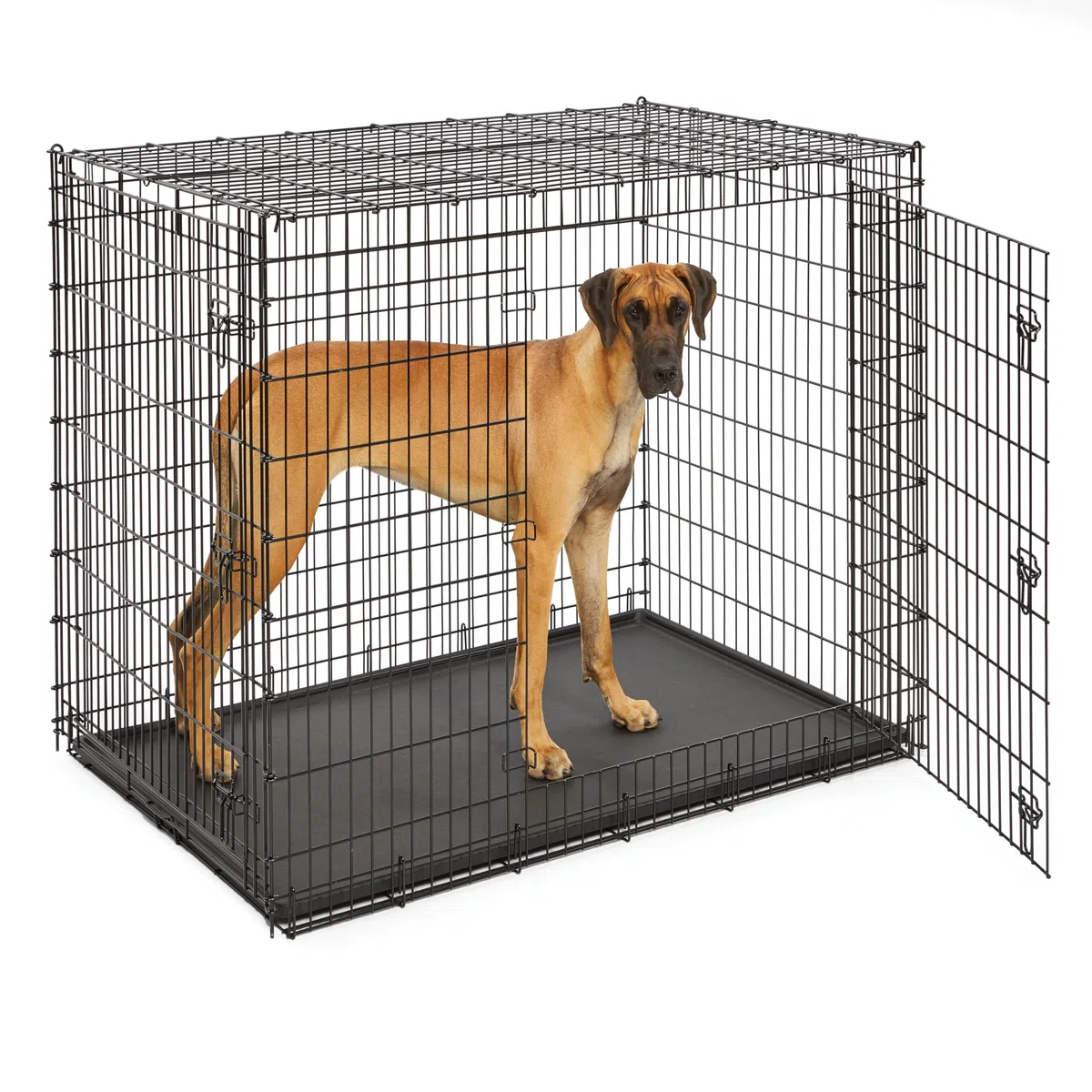 Solutions Series Hundebox für die größten Hunderassen, Doppeltür, 137 cm, Größe XXL, stabile Metallstifte, schwarz E-beschichtet