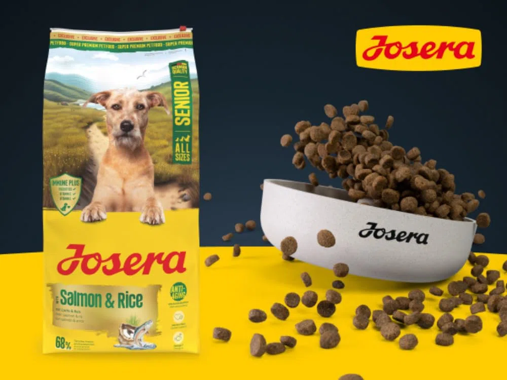 Josera Senior Salmon & Rice 12,5 kg Trockenfutter für Hunde