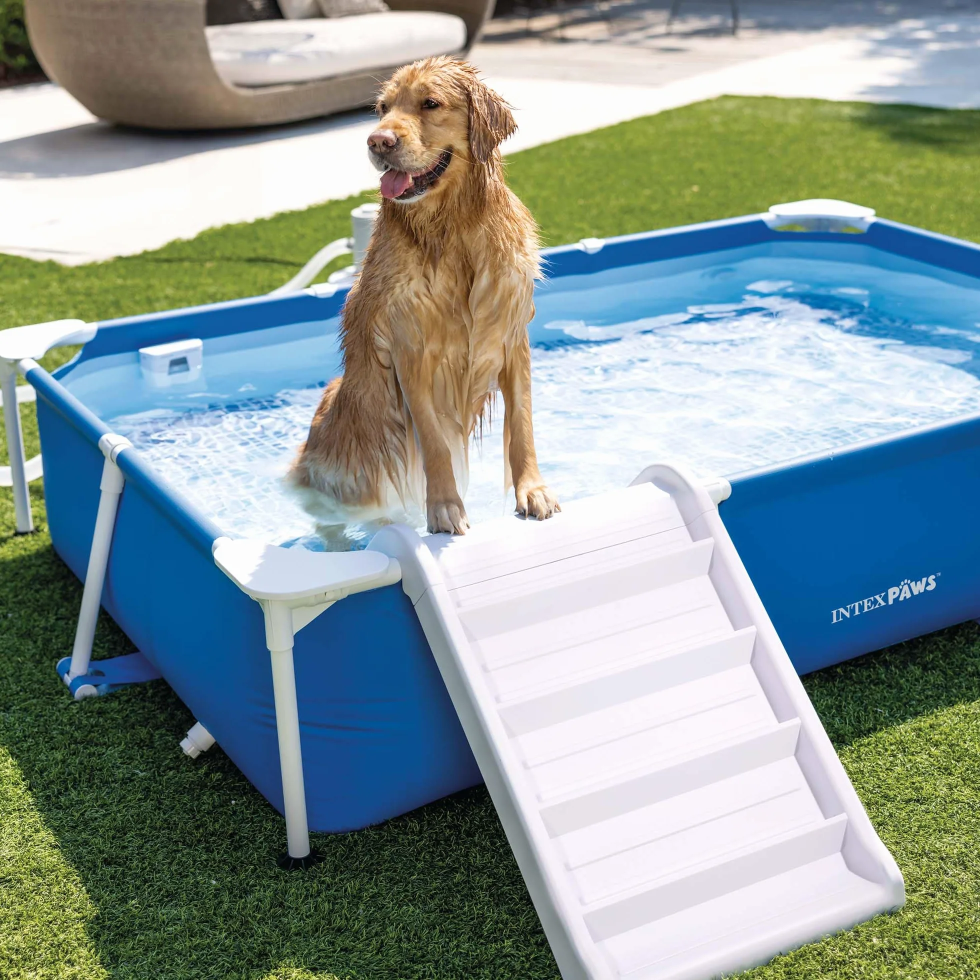 Intex - 48404NP – Pool-Set mit Rohren, Tiere, rechteckig