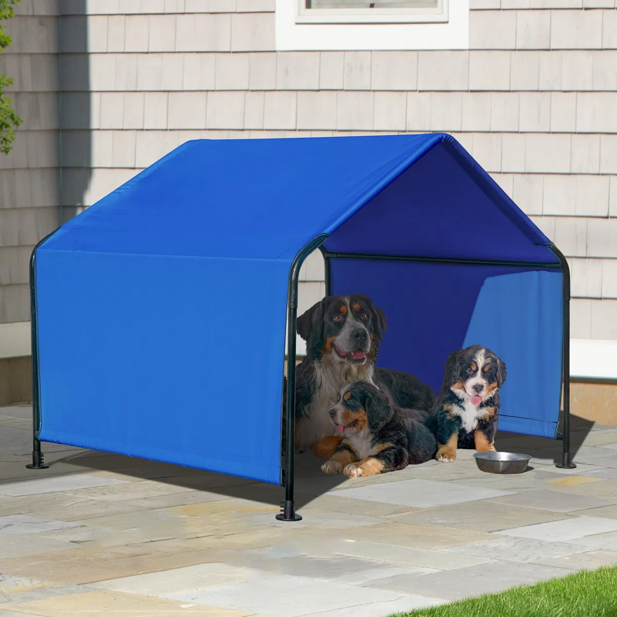 ShelterLogic 1,5 m Outdoor-Haustier-Schatten, vielseitiges Haustier-Überdachungszelt für mittelgroße bis großblütige Hunde, Katzen, Kleintiere und Nutztiere, Blau