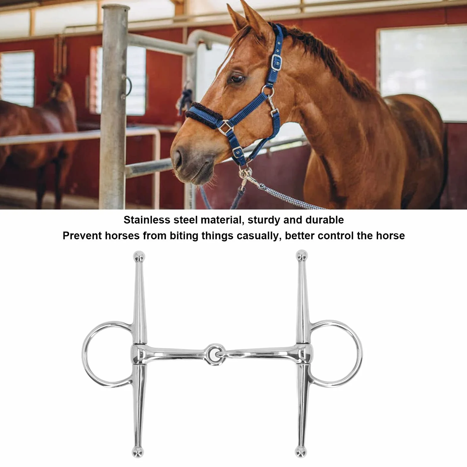 D-Ring-Trense, D-Trense Doppelt Gebrochen, 125 mm Pferdetrense Pferdemaulgebisse Vollbackentrense Edelstahlring Farm Jointed Bit Pferdegebiss Tack Snaffle Bit Pferdeknebel Dicke Bit
