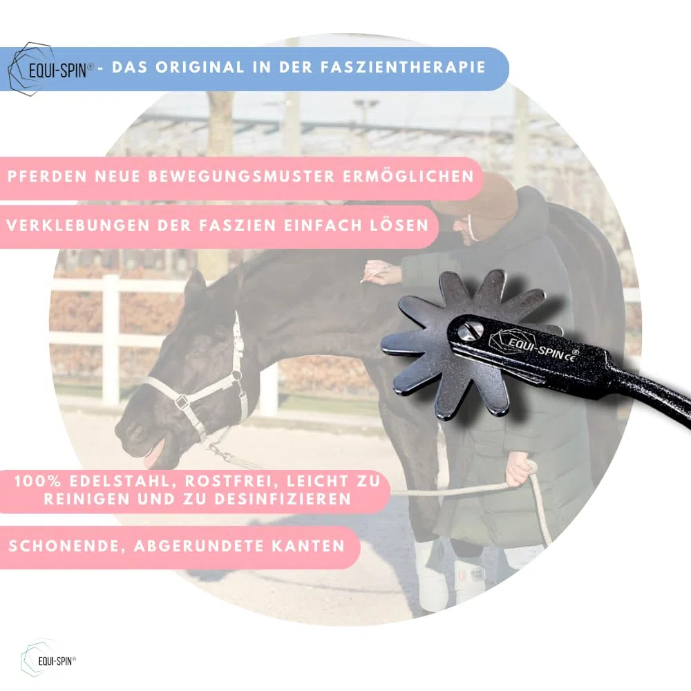 Faszien, Wellness und Entspannung fürs Pferd (Schwarz)