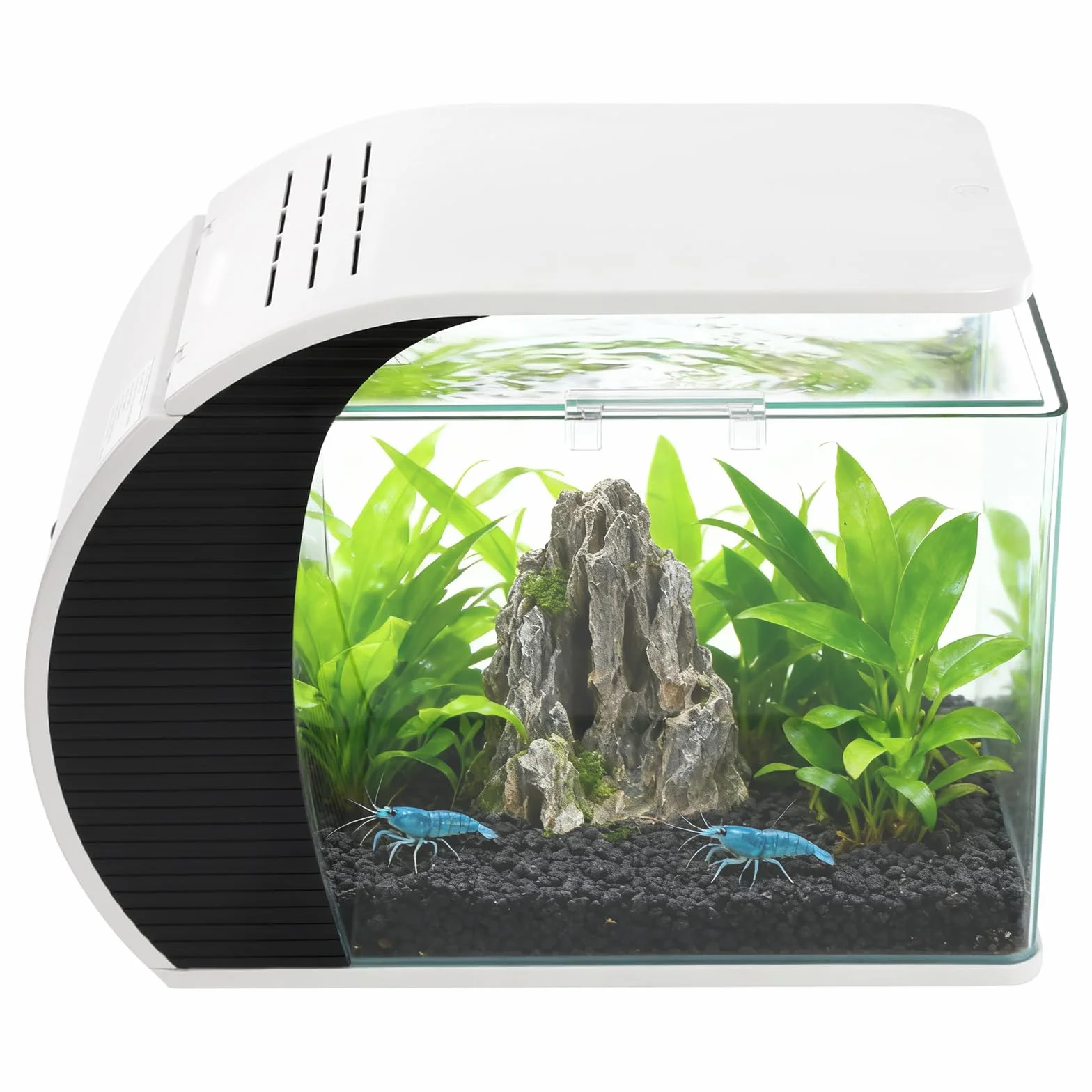 5 GallonAquarium, Mit LED Beleuchtung Und Wasserpumpe Fassungsvermögen Für Zierfische Krabben Pflanzen Ideal Für Wohnzimmer Schlafzimmer Büro Dekoration