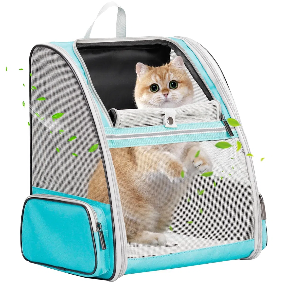 Großer Katze-Träger-Rucksack, Haustier-Träger für kleinen Hund bis zu 16 Pfund, atmungsaktiver entlüfteter Design-Rucksack für Reisen und Wandern im Freien, Fluggesellschaft genehmigt