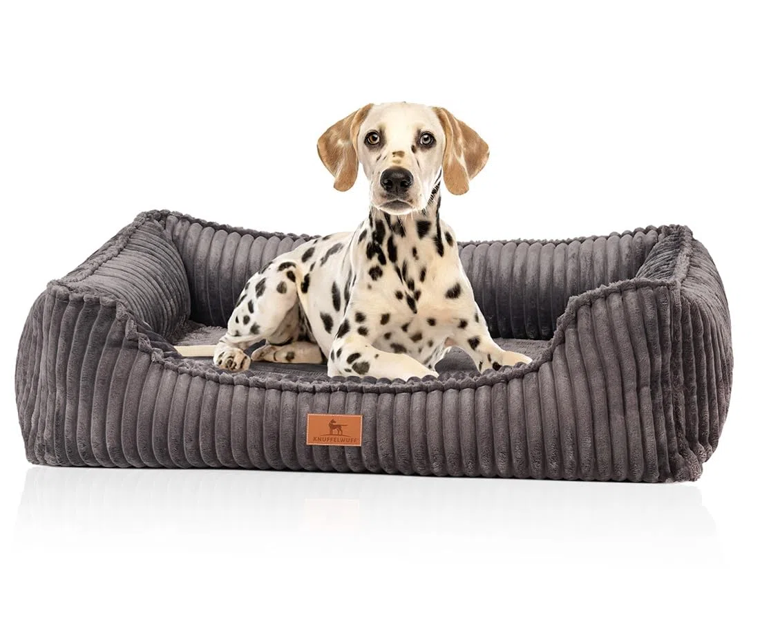 Knuffelwuff orthopädisches Hundebett aus Breitcord Sedona M-L 85 x 63cm Grau | Abnehmbarer Bezug | waschbar | für große, mittelgroße und kleine Hunde