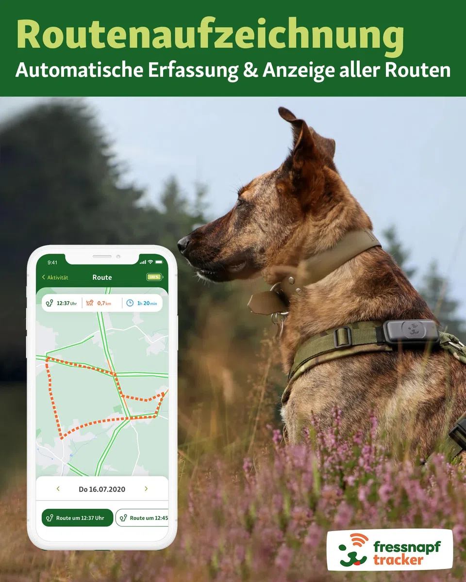 Fressnapf GPS Tracker Für Hunde - 2. Generation - Ohne ABO - Ortung Ohne Entfernungsbegrenzung - Aktivitätstracking - Gesundheitsfunktion - Hundefreundliches Design (ohne Personalisierung)