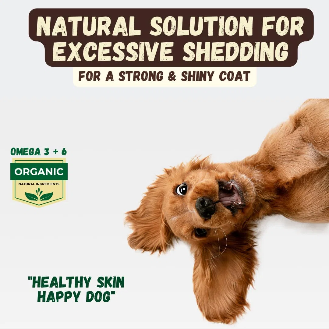 KELEBS Hundeshampoo Sensitiv | Fellpflege Hund | hundeshampoo welpen | Beruhigende natürliche Hunde Shampoo Seifenstücke | mit Lavendel Öl & Haferflocken | Vegan | 3er Pack (Coconut)