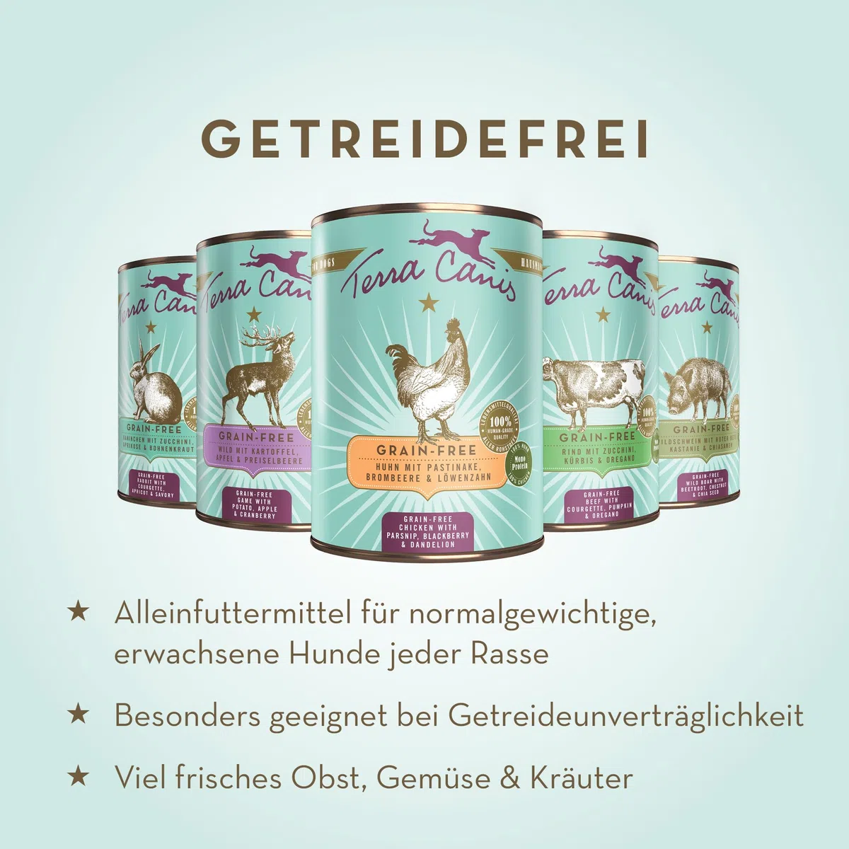 Terra Canis-Hundefutter nass getreidefrei 6x800 g, mit Pferd, Steckrübe, Fenchel & Salbei - Premium-Nassfutter für ausgewachsene Hunde mit Rohstoffen in 100% Lebensmittelqualität