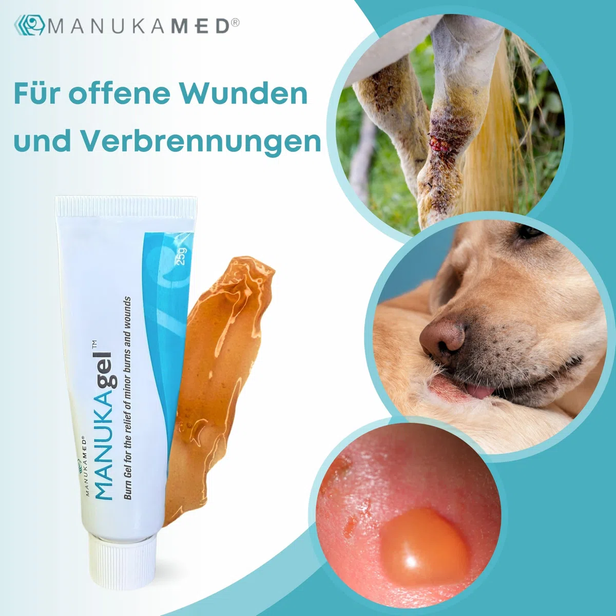 ManukaMed Antibakterieller Manuka Gel, wundsalbe für Hund, Katze, Pferd, 100% Bioaktiv Manuka Honig MGO 560+ / 25 g